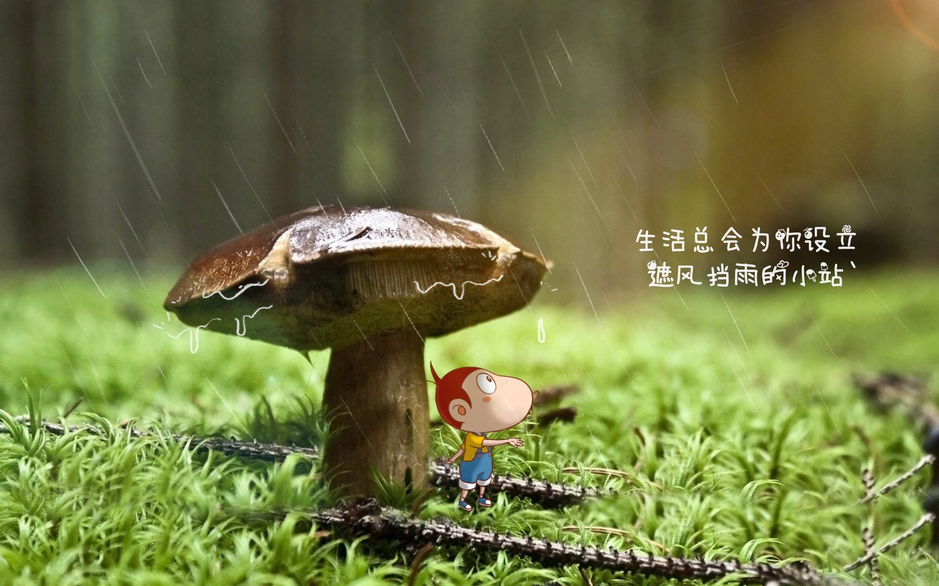 “西甲战火不断，豪门正面交锋”，西甲豪门球队排名