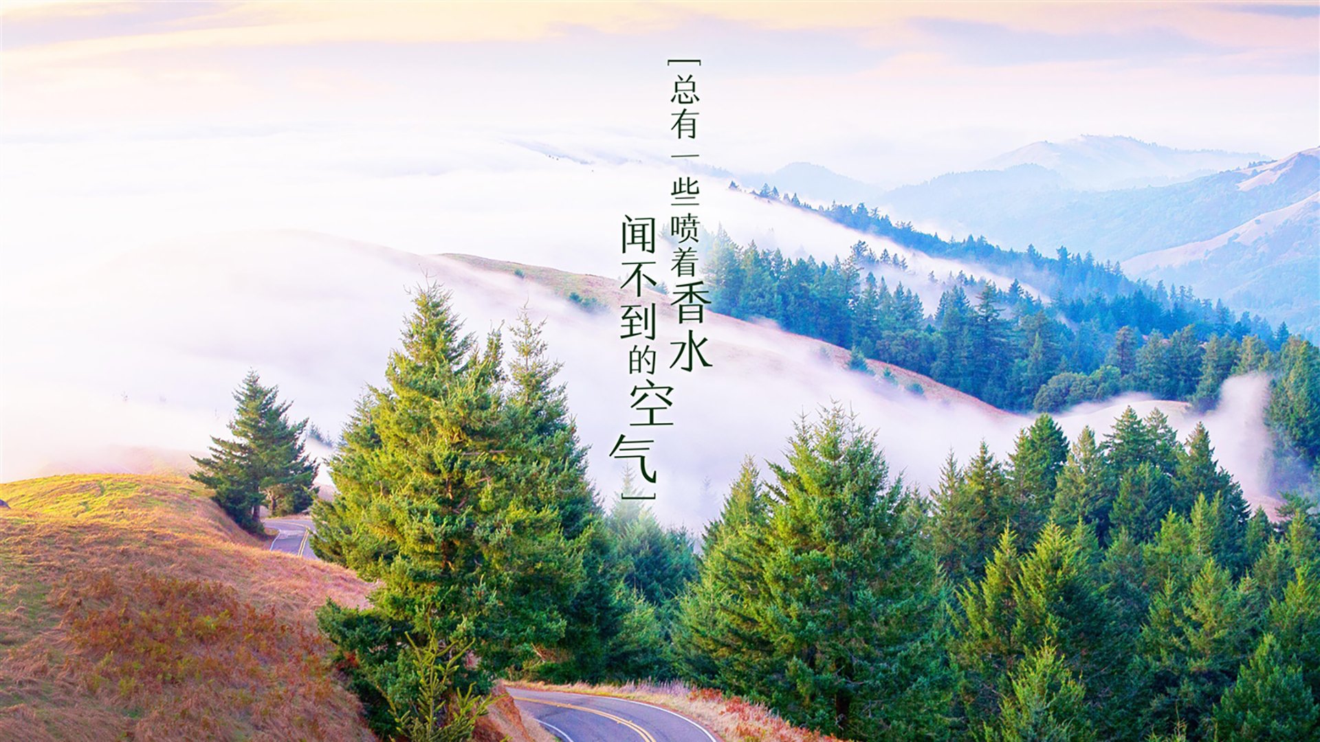 b体育娱乐-LPL季后赛对阵形势分析，lpl季后赛对阵图2021