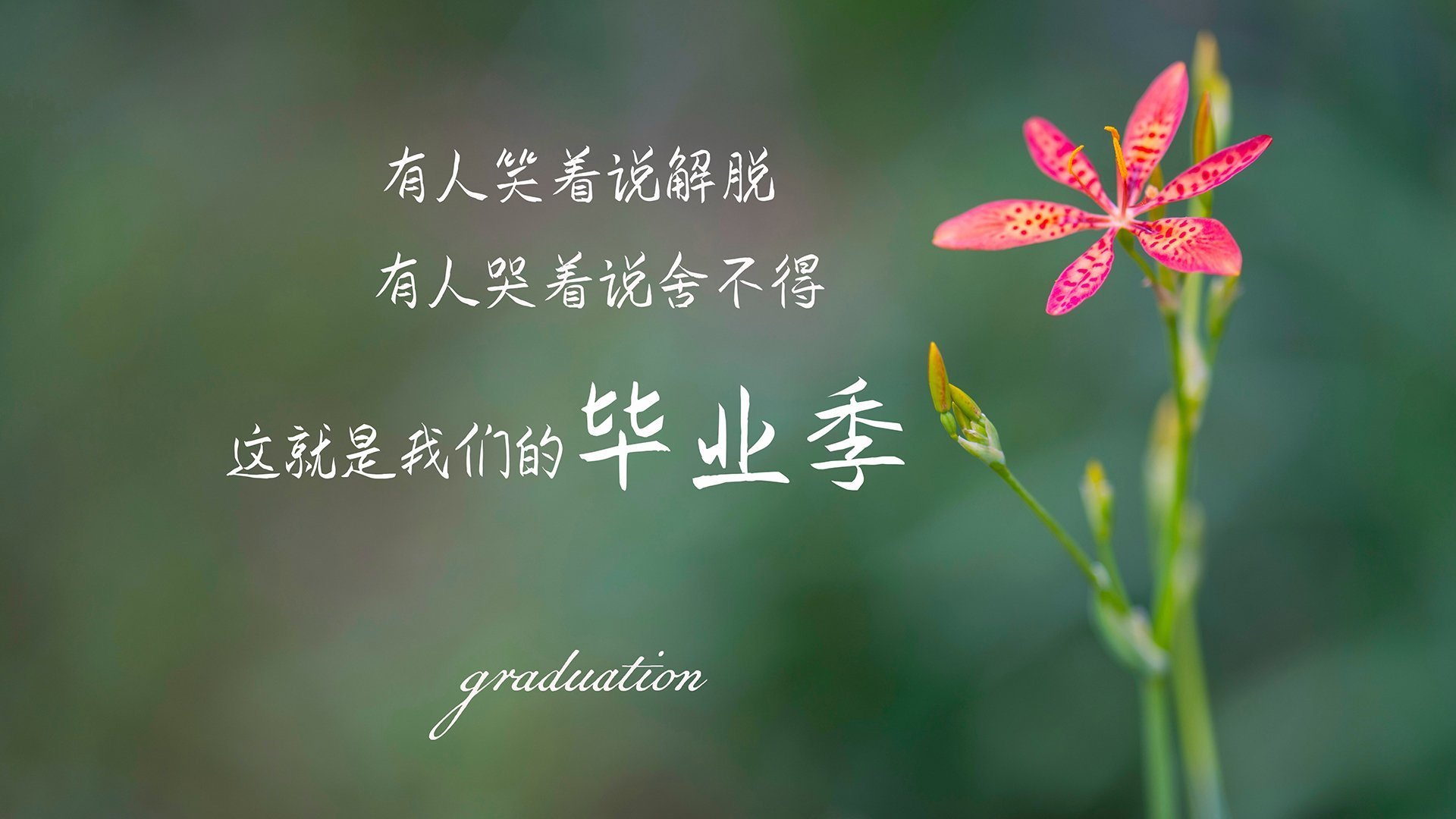 中国足球青训队伍教练更替频率数据，中国足球青训球员