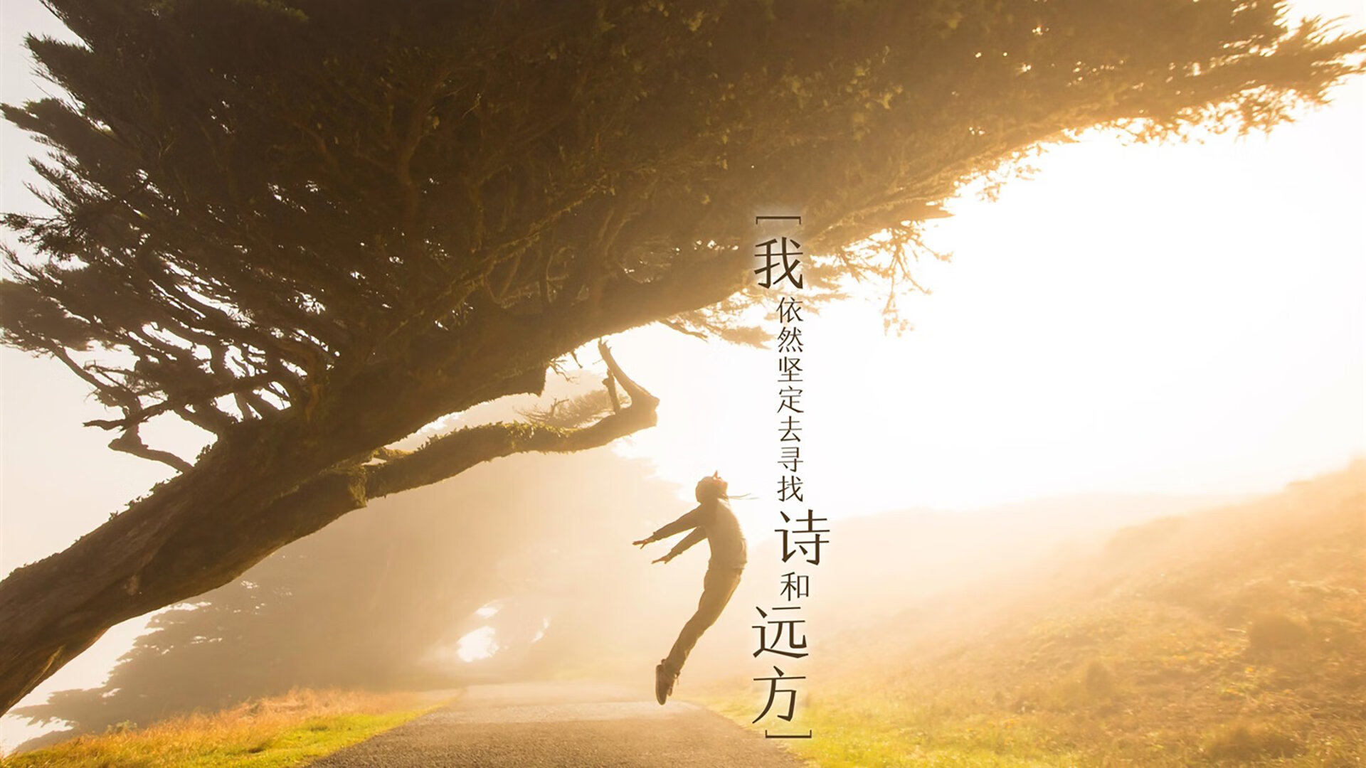 运动员训练计划个性化设计，运动员训练计划个性化设计怎么写