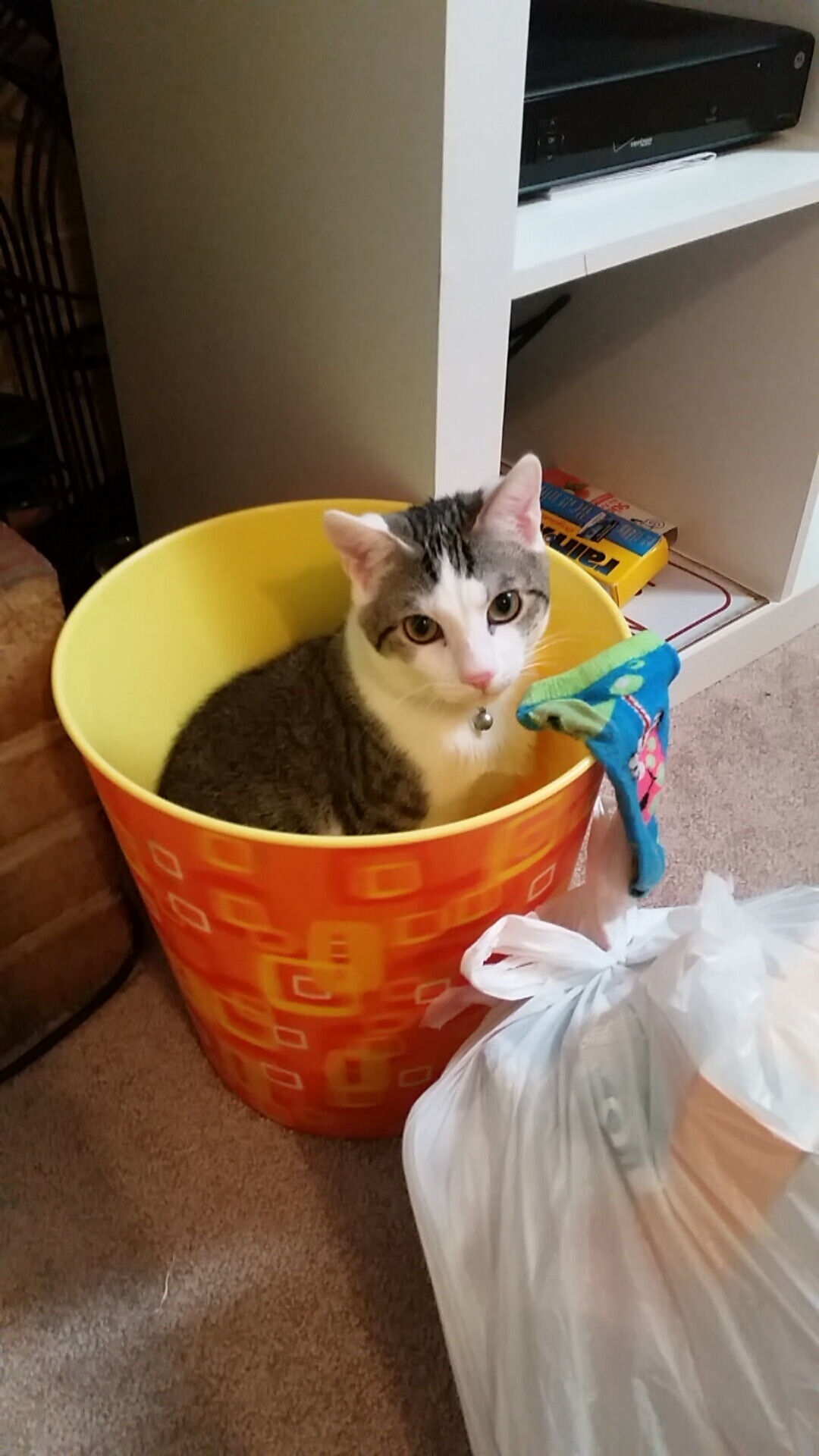 B体育APP下载网址-中国男篮年轻球员快速成长 助力球队崛起，中国男篮队员年龄