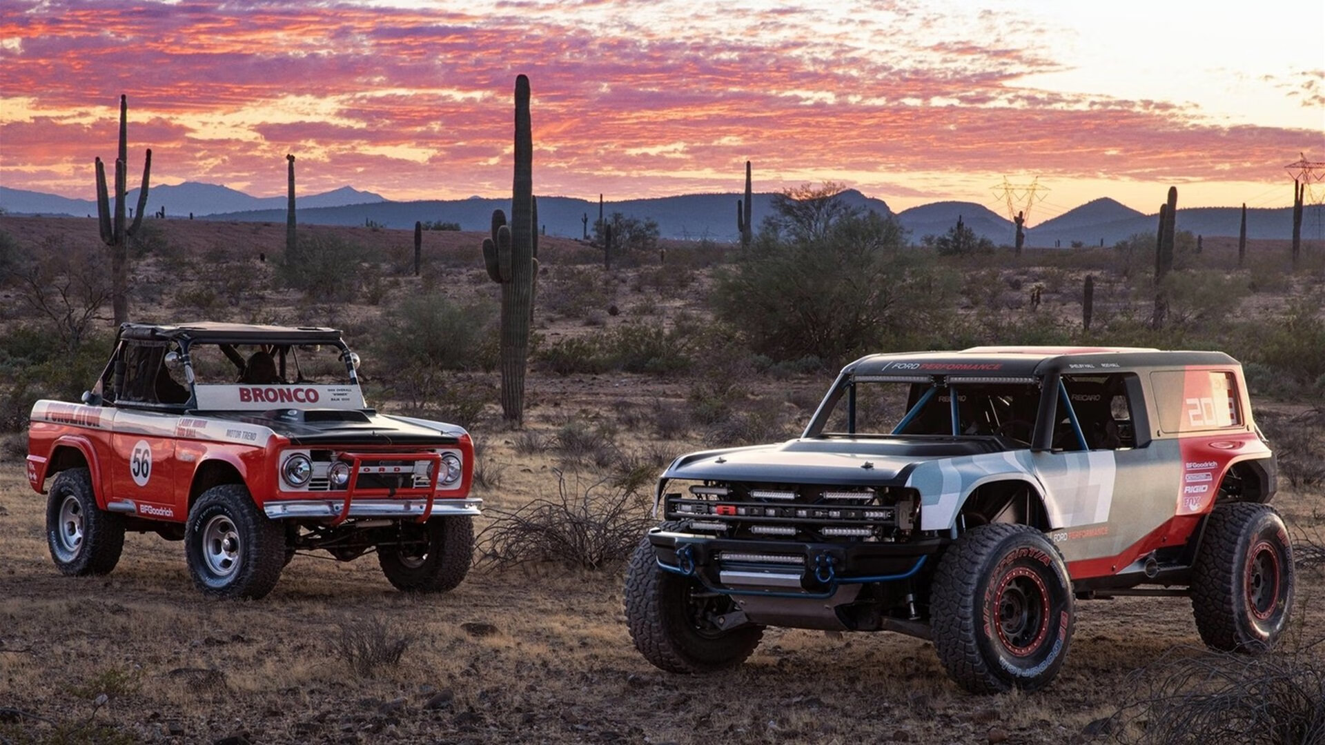 中国男篮年轻球员快速成长 助力球队崛起，中国男篮队员年龄