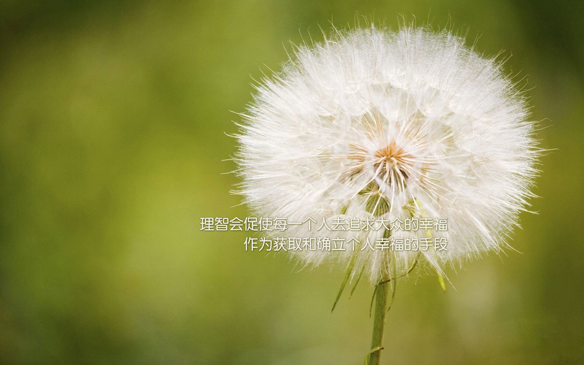 b体育娱乐-俱乐部缺少基于球迷数据的营销体系，俱乐部开展现状