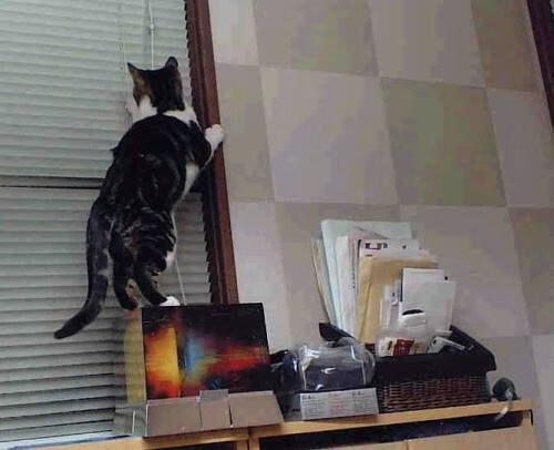 全民健身项目融合社区文化，全民健身进社区文案