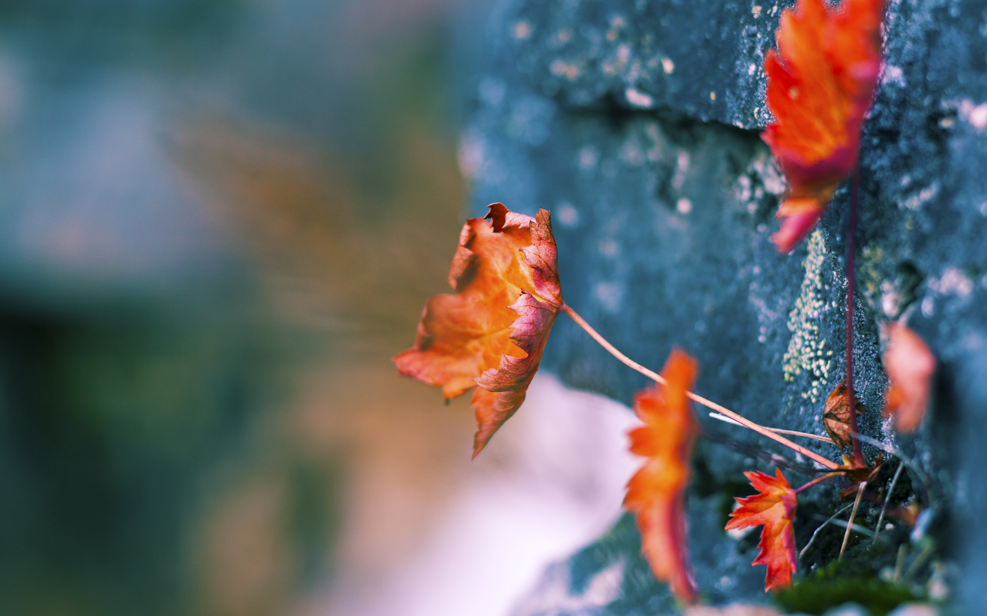 阿森纳高强度跑动压迫对手后场，阿森纳强吗