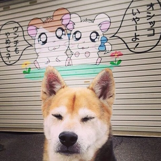 曼联在关键战役中取胜,追赶榜首位置