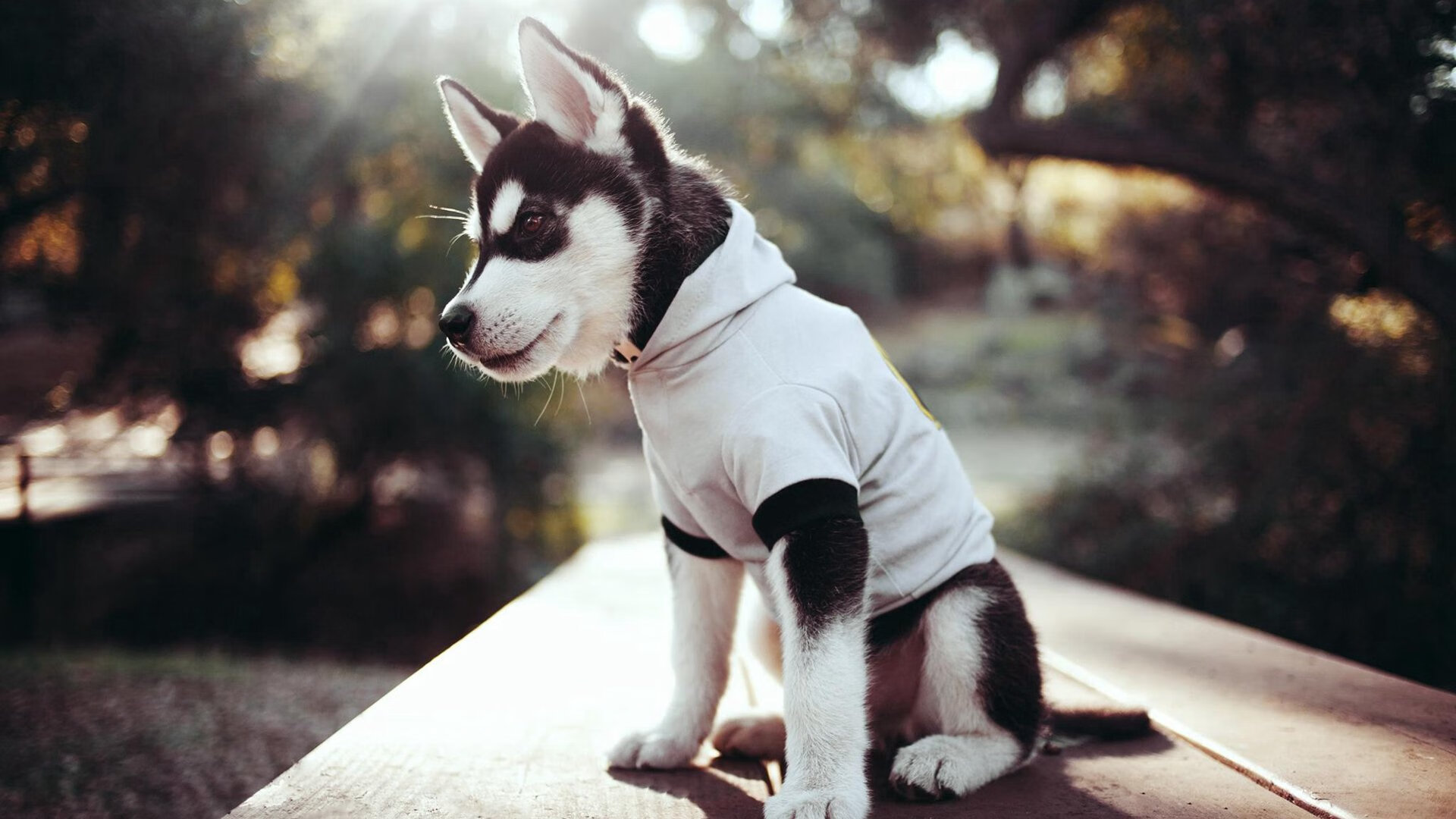 阿根廷年轻力量崭露头角，未来可期待