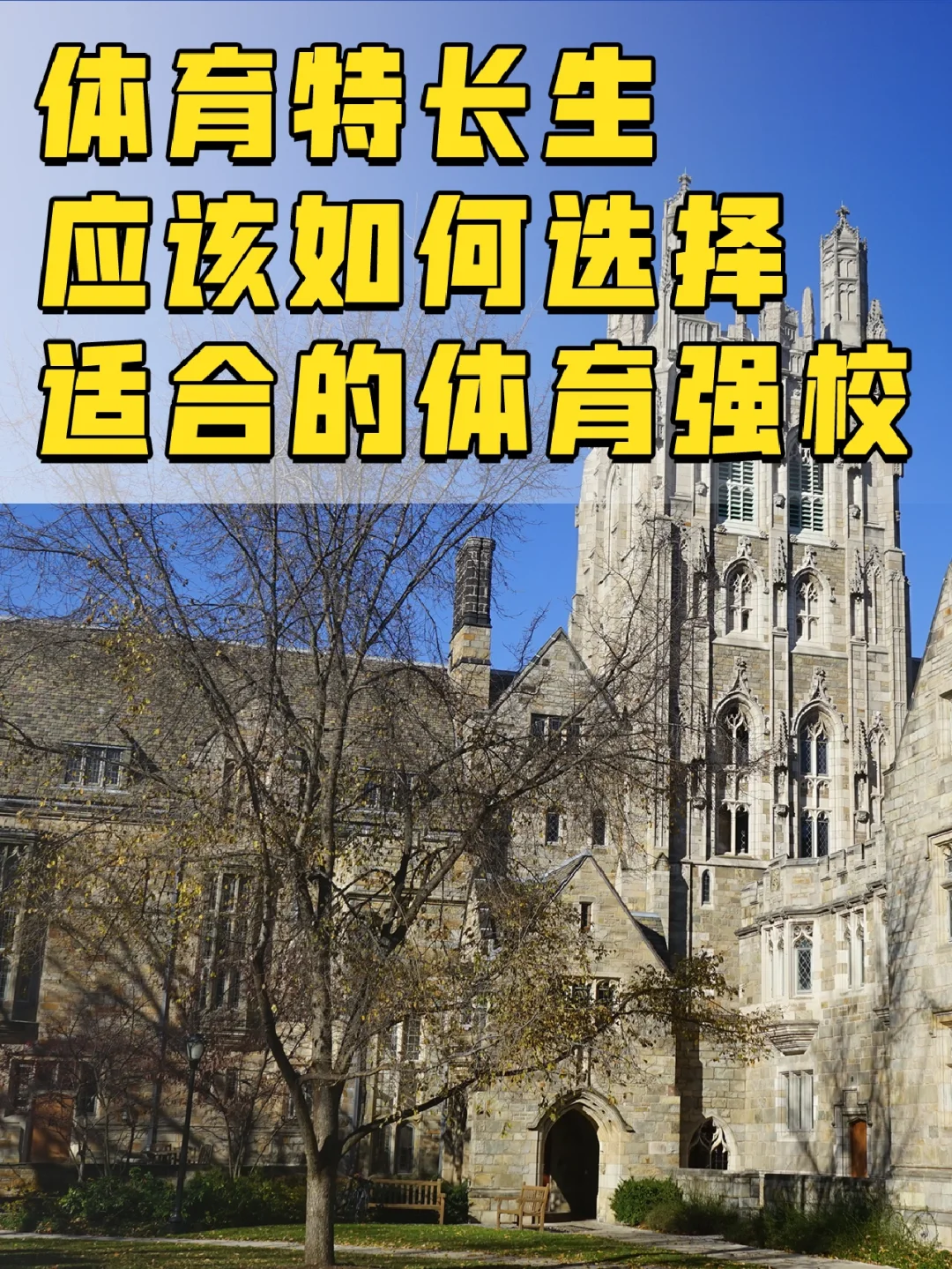 关于B体育官方网址：从CBA到NBA，中国球员的留洋之路如何走得更稳的信息