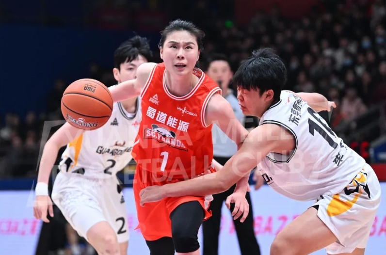 B体育官方网址：WCBA季后赛战火重燃，谁能问鼎冠军宝座？的简单介绍